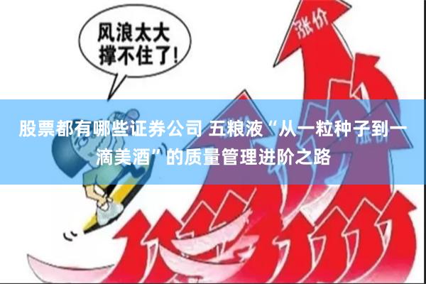 股票都有哪些证券公司 五粮液“从一粒种子到一滴美酒”的质量管理进阶之路