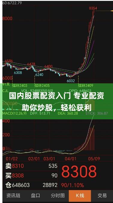 国内股票配资入门 专业配资助你炒股，轻松获利