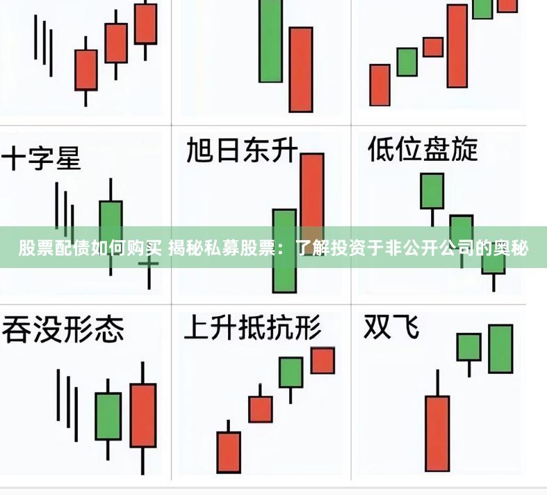 股票配债如何购买 揭秘私募股票：了解投资于非公开公司的奥秘