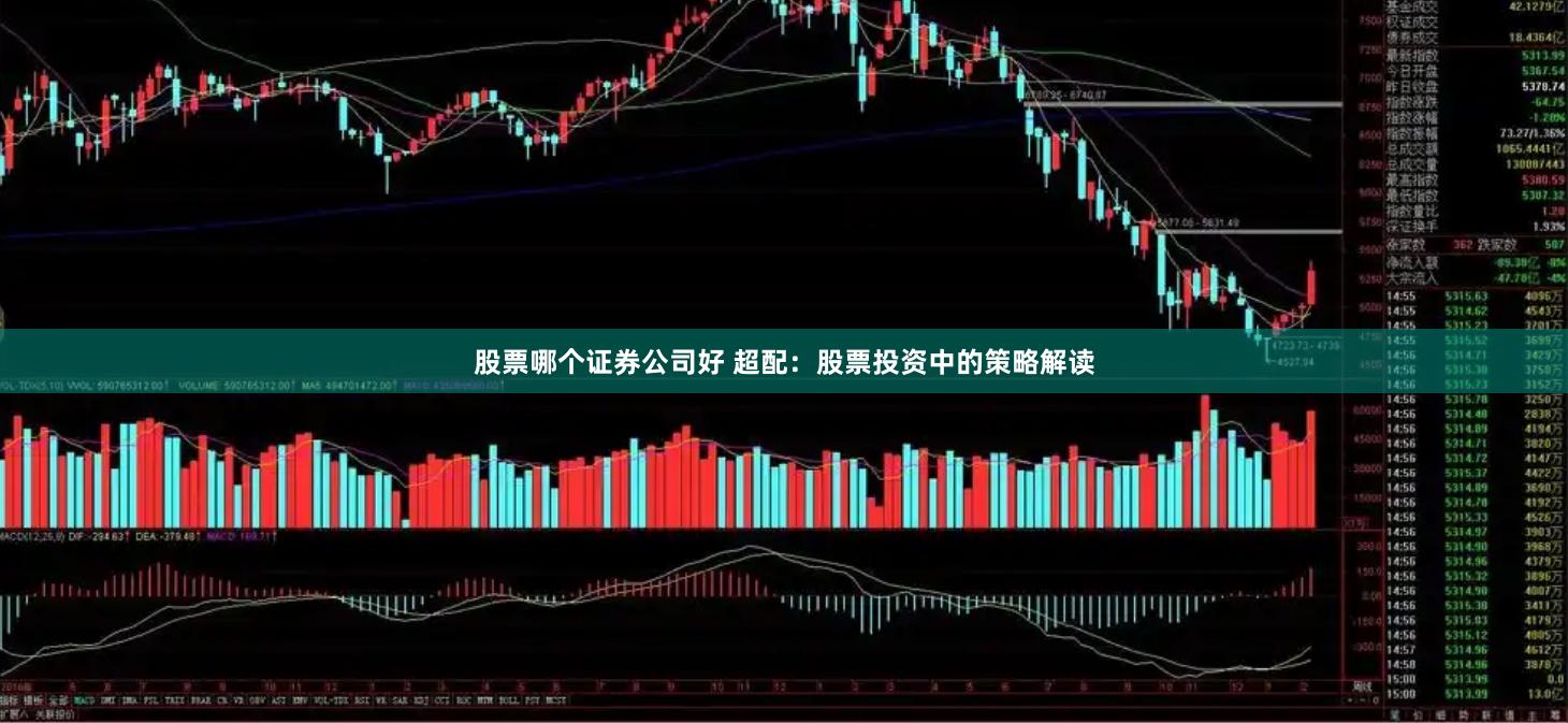 股票哪个证券公司好 超配：股票投资中的策略解读