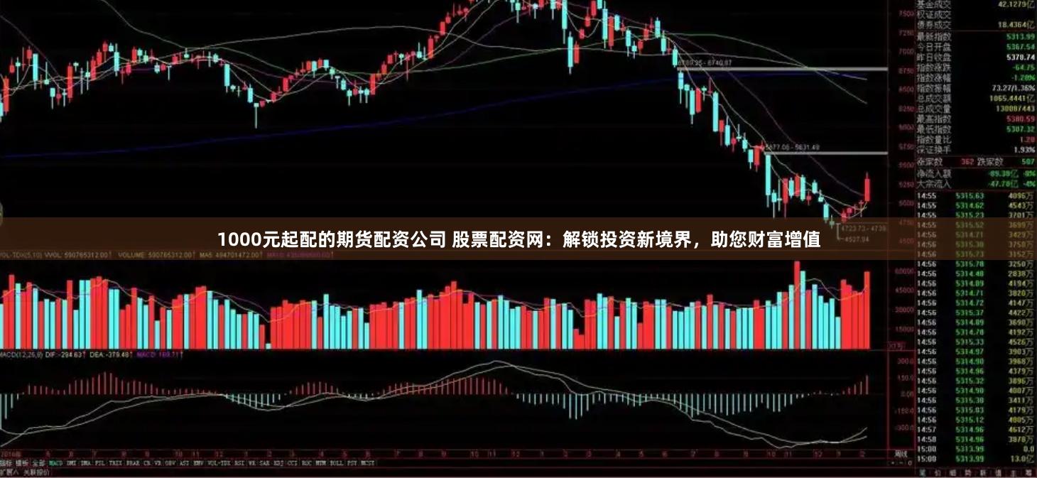 1000元起配的期货配资公司 股票配资网：解锁投资新境界，助您财富增值