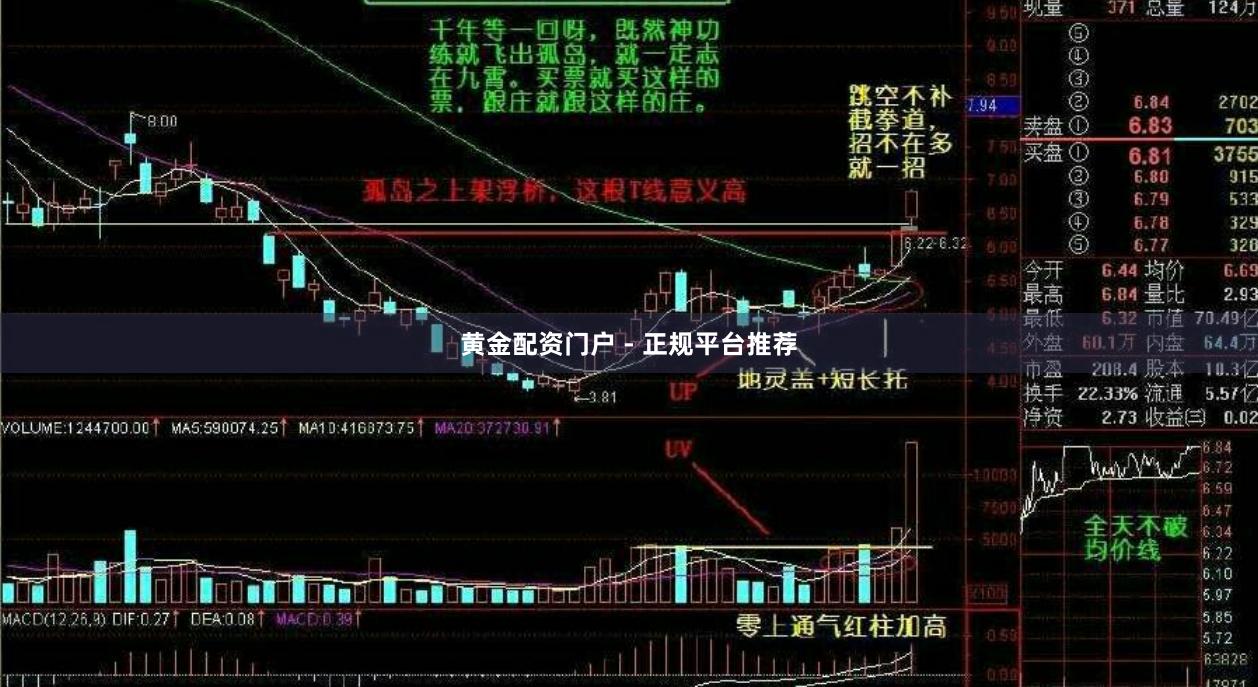 黄金配资门户 - 正规平台推荐