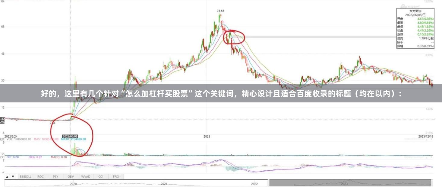 好的，这里有几个针对“怎么加杠杆买股票”这个关键词，精心设计且适合百度收录的标题（均在以内）：