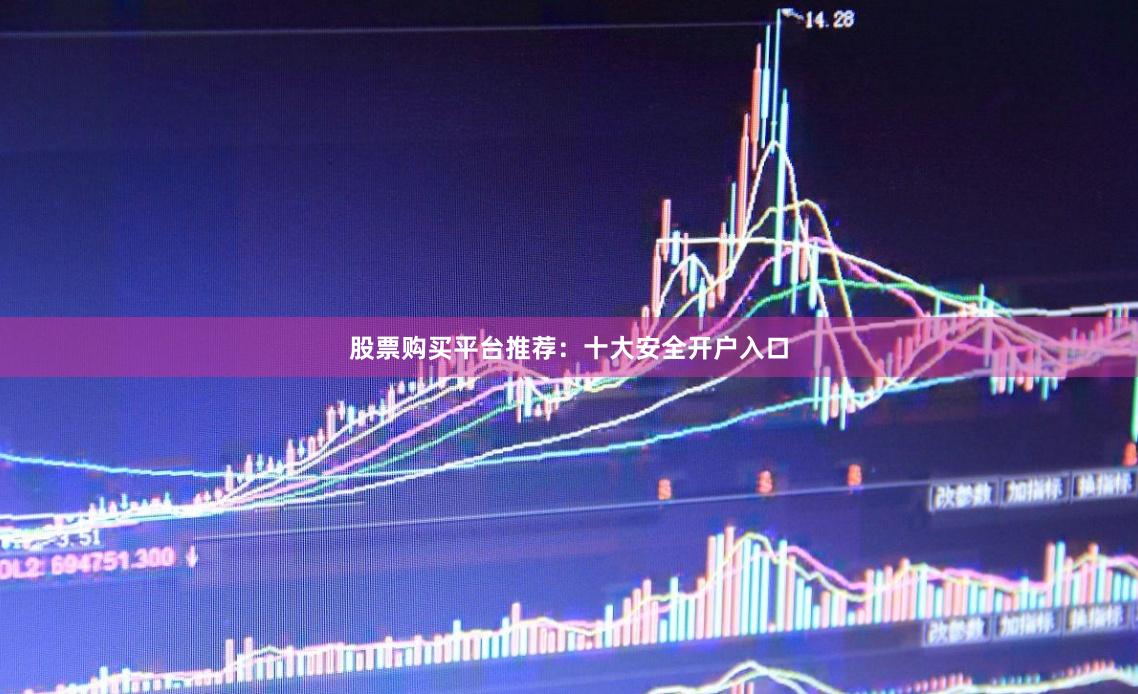 股票购买平台推荐：十大安全开户入口
