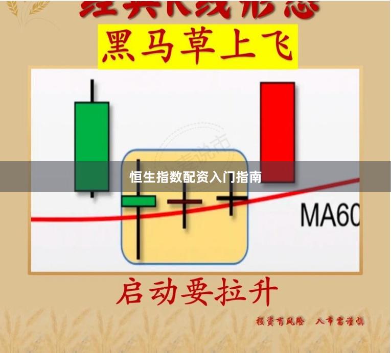 恒生指数配资入门指南